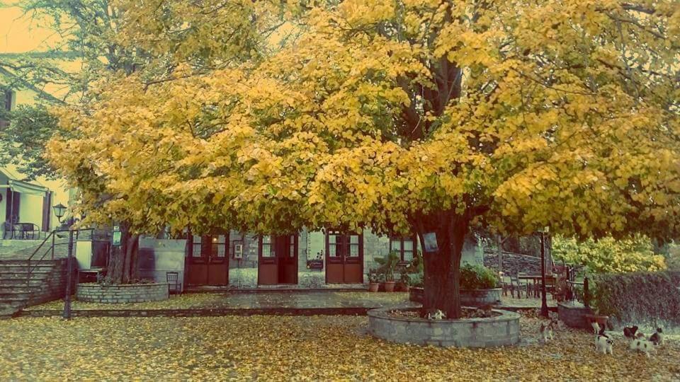 Villa Armonia Neochori  Екстер'єр фото